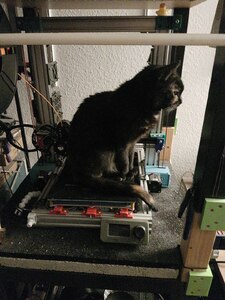 Aphrodite sitting on my 3D printer