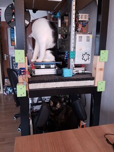 Ares and Aphrodite sharing my printer tower