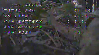 Micro Quadcopter attacked by Owl